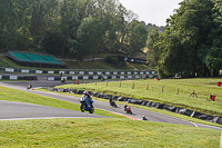 Middle Group Blue Bikes